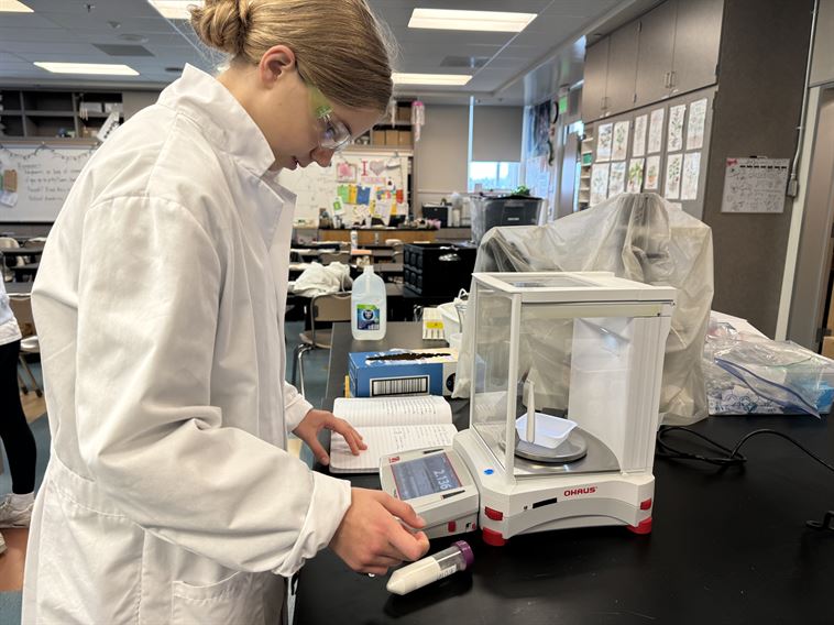 Student working in the lab